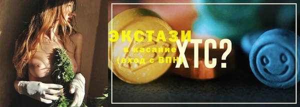 ECSTASY Вяземский