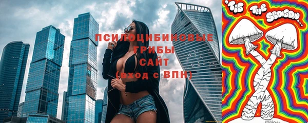 ECSTASY Вяземский