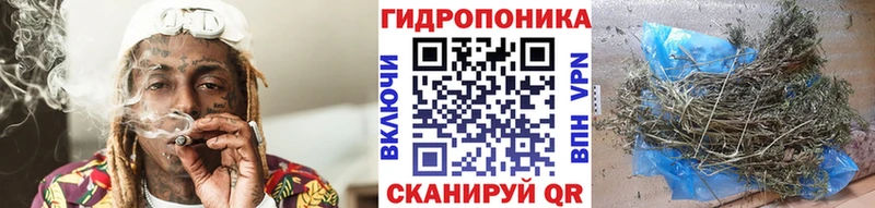МАРИХУАНА White Widow  кракен маркетплейс  Ивдель 